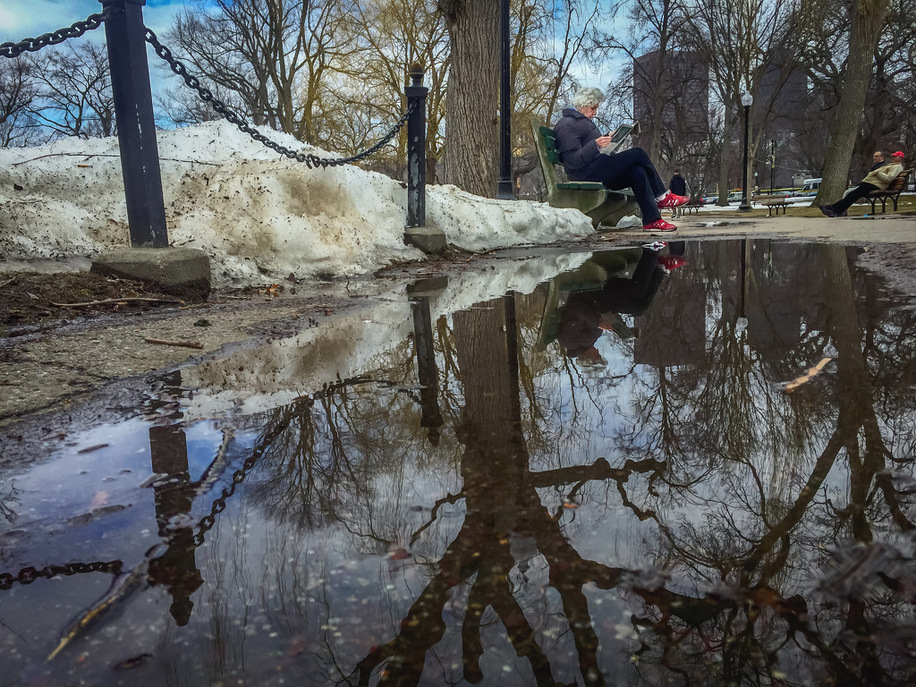 Reading Reflection in Boston Public Garden by jbritt