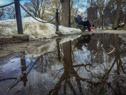 26th Mar 2015 - Reading Reflection in Boston Public Garden