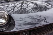 6th Apr 2015 - Trees Reflecting on car