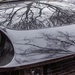 Trees Reflecting on car by jbritt