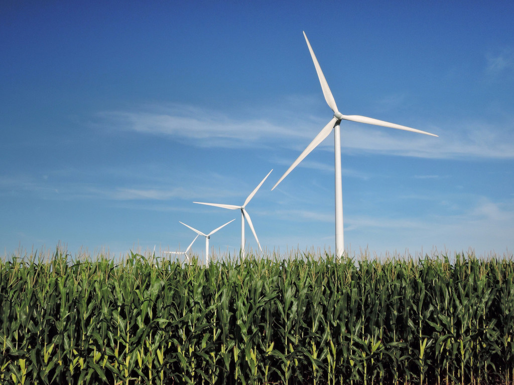 Wind Turbines In the Corn Fields by lsquared