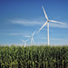 Wind Turbines In the Corn Fields by lsquared