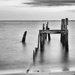 Pilings, blue hour, bw, critique requested by shesnapped