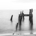 Bright pilings at blue hour, bw, critique requested by shesnapped