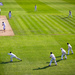Day 191, Year 3 - Closing In On The Wicket by stevecameras