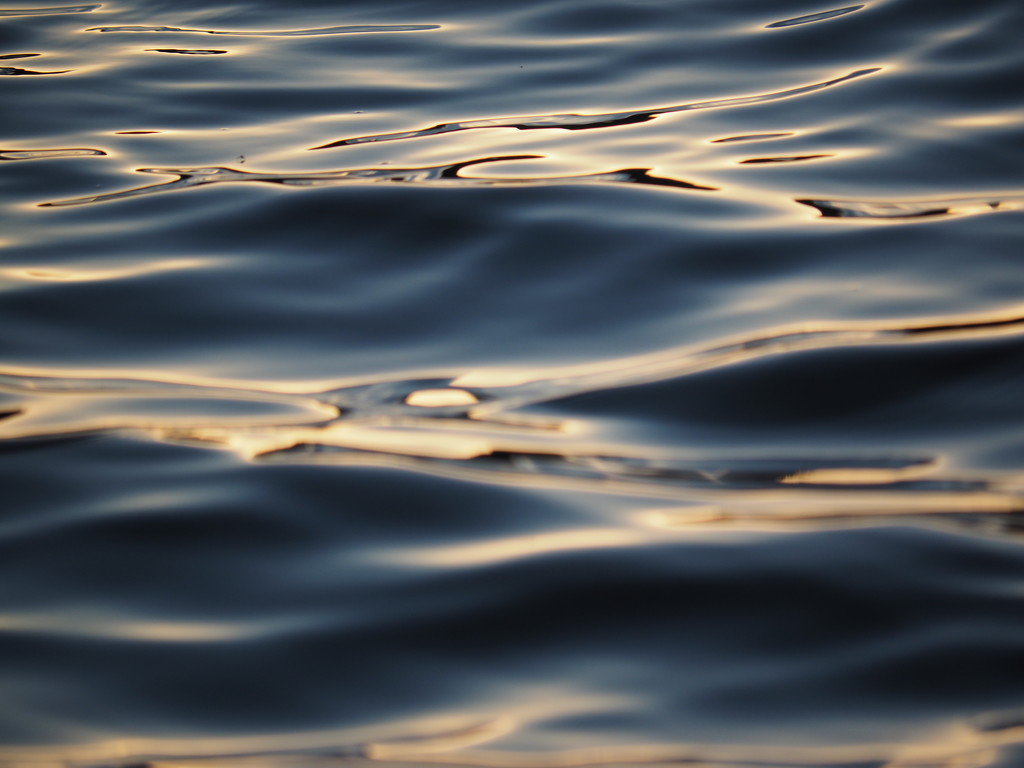 Light on the Waves by selkie