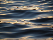 30th Jul 2015 - Light on the Waves