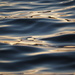 Light on the Waves by selkie