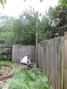27th Jul 2015 - There's more than one way to cut down a tree!