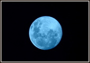 31st Jul 2015 - Blue Moon