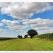 Country Walk, Blue Skies and Fluffy Clouds. by ladymagpie