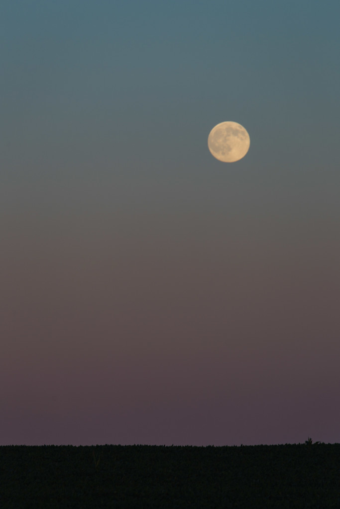 Colors of a moonrise by lindasees