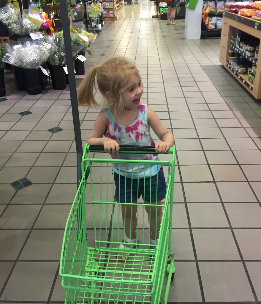 This little cart has changed trips to the grocery store by mdoelger