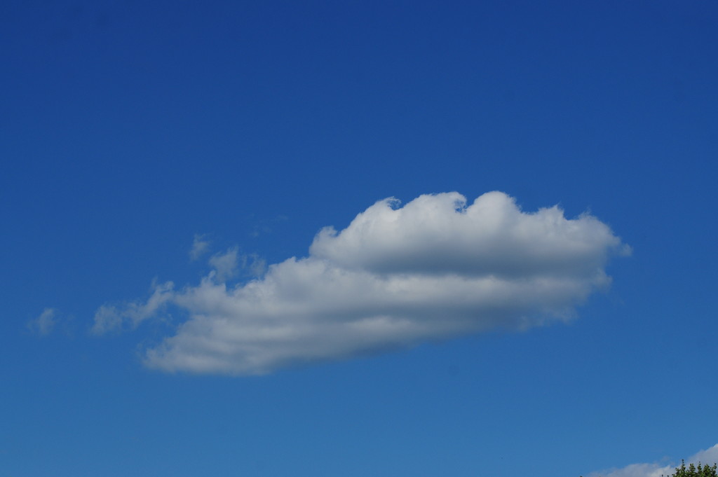 Prettiest Little Cloud! by dianen