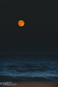 31st Jul 2015 - Blue Moon, It Looked Orange To Me.....