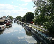 31st Jul 2015 - Busy Canal