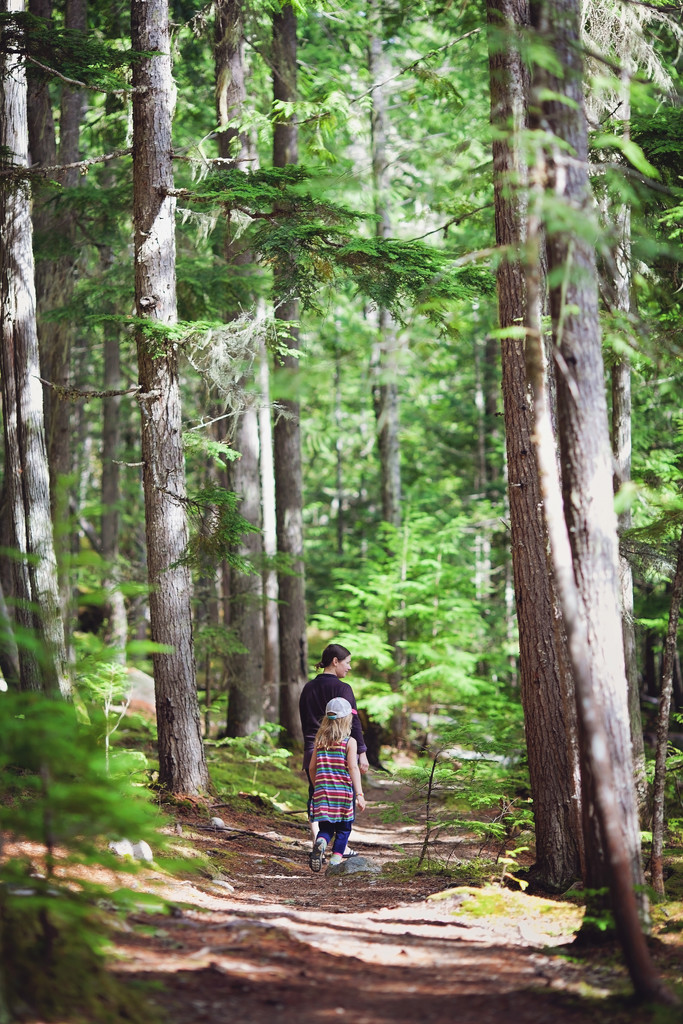 Walking in the forest by kiwichick