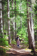 31st Jul 2015 - Walking in the forest