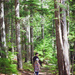 Walking in the forest by kiwichick