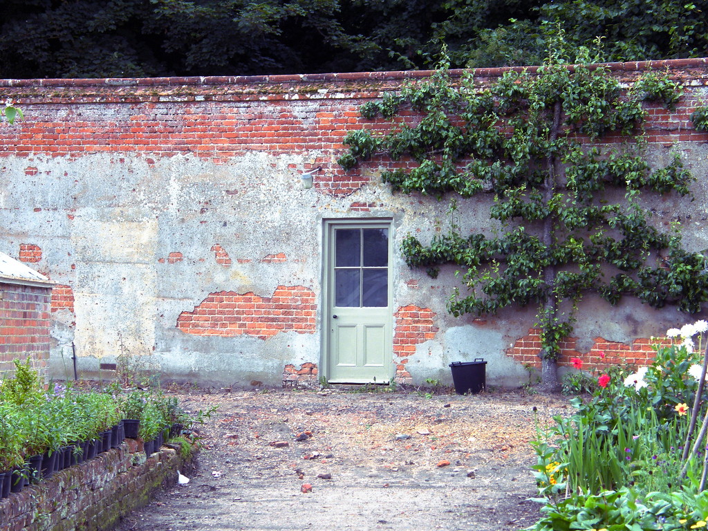 The walled garden by jeff