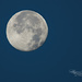 Morning Moon by lynne5477