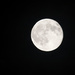 IMG_2340rsz Blue moon by rontu