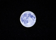 1st Aug 2015 - Blue Moon.....You saw me standing alone...