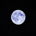Blue Moon.....You saw me standing alone... by epcello