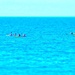 Kayak on the blue sea by cocobella