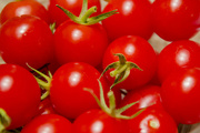 31st Jul 2015 - tomatoes