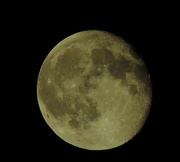 2nd Aug 2015 - Friday night a blue moon, Saturday it's yellow!