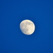Nearly a full moon, Charleston Harbor, Charleston, SC by congaree