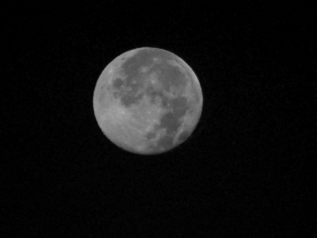Blue Moon In Black & White by lizzybean