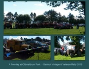 2nd Aug 2015 - vintage day at the park