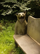 2nd Aug 2015 - A bear seat....