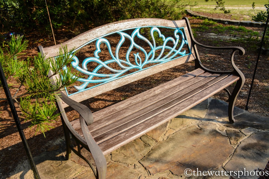 Bench by thewatersphotos