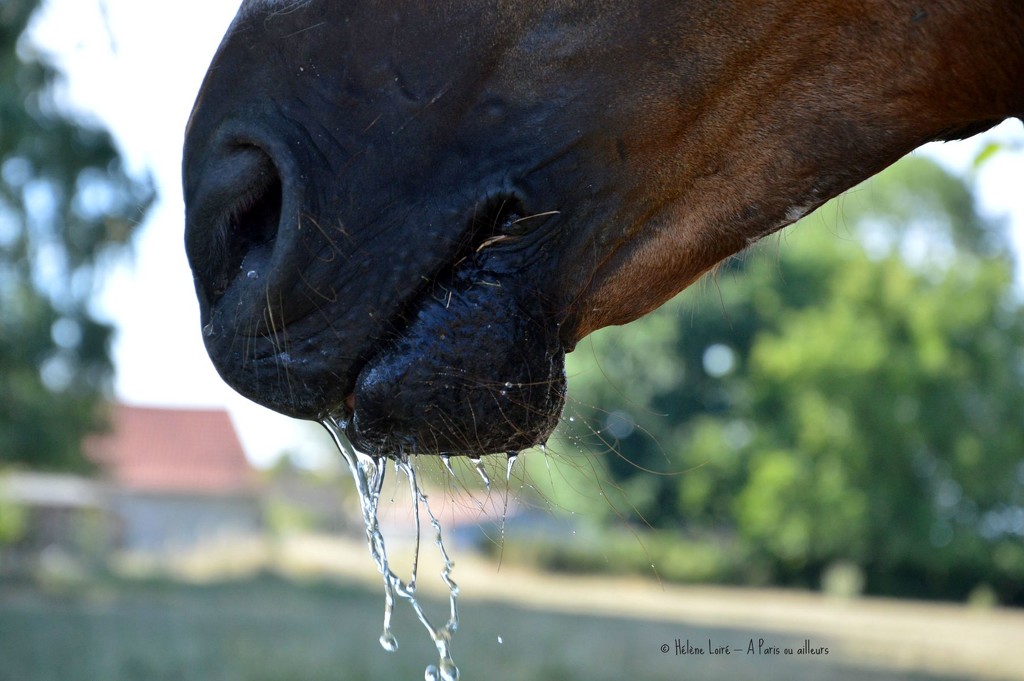 Thirsty Diego by parisouailleurs