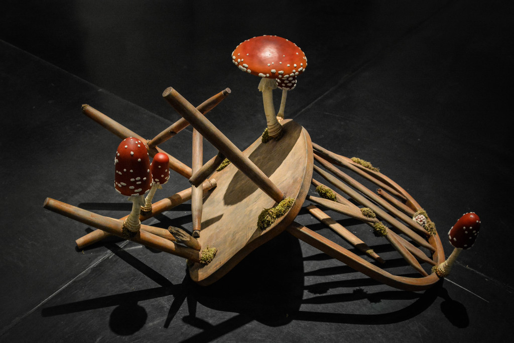 ~Toad Stool~ by crowfan