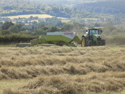 3rd Aug 2015 - Haymaking
