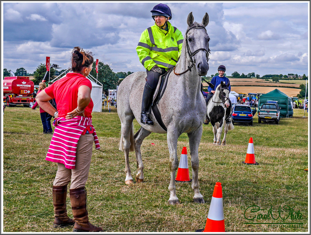 Volunteer Police Rider,Northamptonshire by carolmw