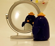 15th Nov 2010 - Mr Penguin Through The Looking-Glass