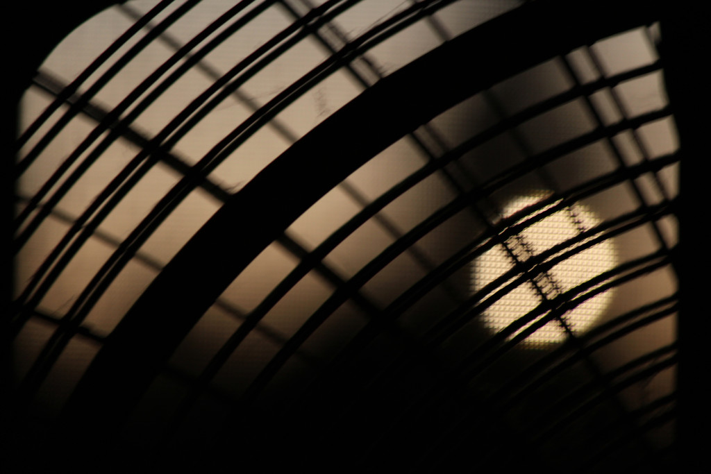 the fan by nanderson