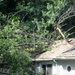 Storm Damage by bruni