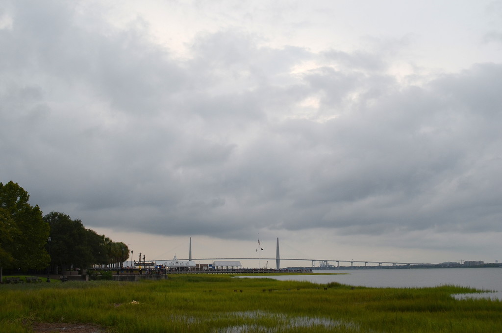 Ravenel Bridge from Waterfront Park, Charleston, sC by congaree