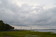5th Aug 2015 - Ravenel Bridge from Waterfront Park, Charleston, sC