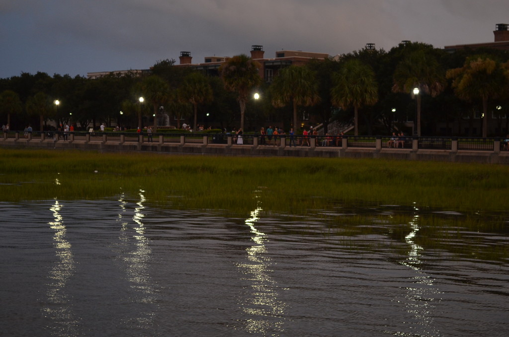 Lamplight reflections near dusk, Waterfront Park, Charleston, SC by congaree