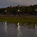 Lamplight reflections near dusk, Waterfront Park, Charleston, SC by congaree