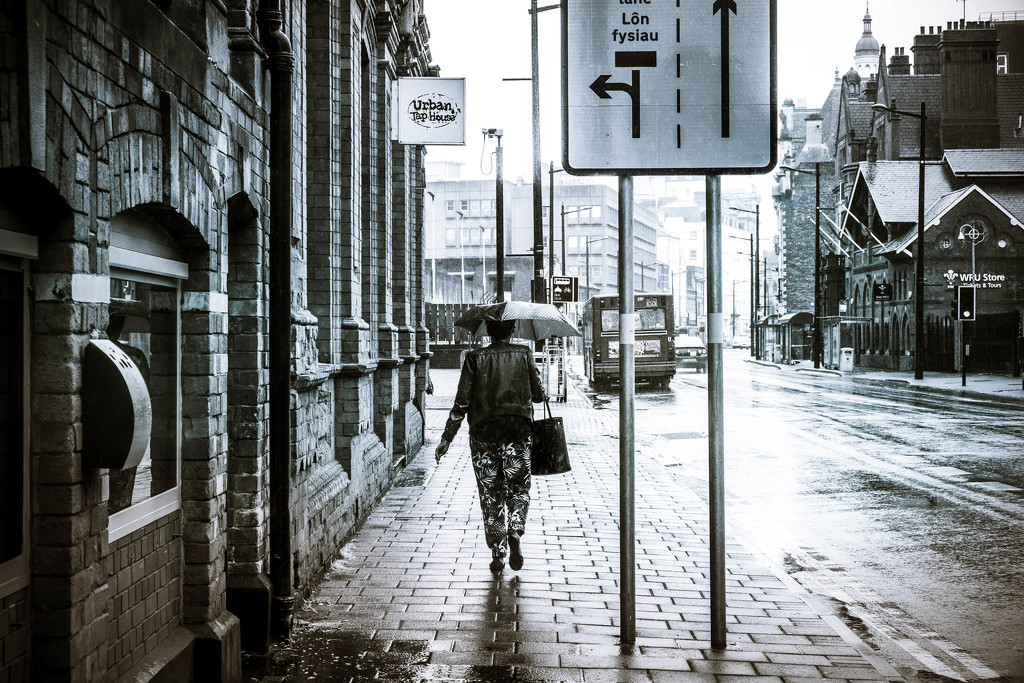 Day 195, Year 3 - Rainy Monday In Cardiff by stevecameras