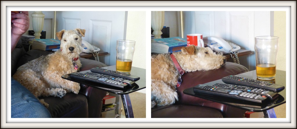 Makes me tired , watching this pint !! by beryl