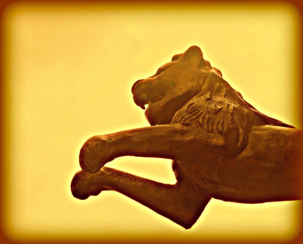    Lion by wendyfrost